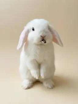 ai pet portrait generator by weshop ai